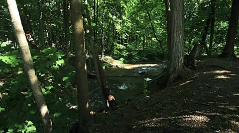 Upper Huron River - Slider shot Video stock 25854972