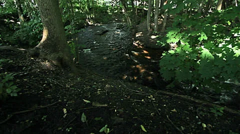 Upper Huron River - Slider shot Stock Footage 25855477