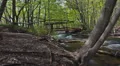 Upper Huron River Time Lapsed HD видео футажи