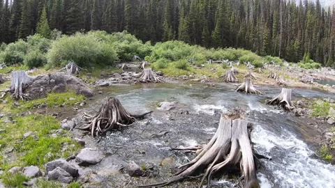 Upper Kananaskis Lake in Peter Lougheed Provincial Park, Alberta, Canada Video stock 148890558