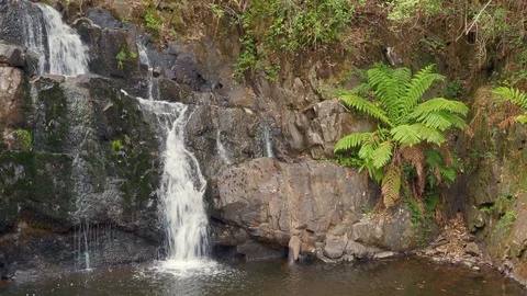 Upper Lilydale Falls Stock Footage 119897927