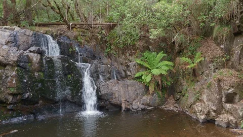 Upper Lilydale Falls Stock-Footage 120043602