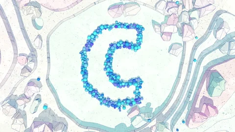 Upper to Lowercase Transform of Letter C in Cartoon Style. Stock Footage 253042066