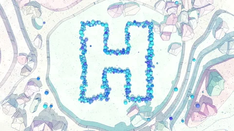Upper to Lowercase Transform of Letter H in Cartoon Style. Stock Footage 253041157