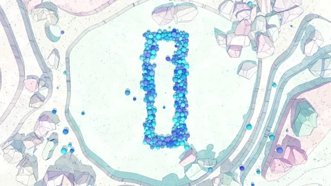 Upper to Lowercase Transform of Letter I in Cartoon Style. Stock Footage 253041040