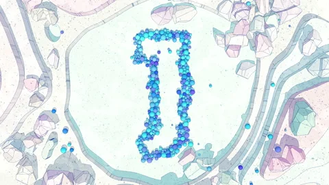 Upper to Lowercase Transform of Letter J in Cartoon Style. Stock Footage 253040920