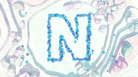 Upper to Lowercase Transform of Letter N in Cartoon Style. Stock Footage 253039120