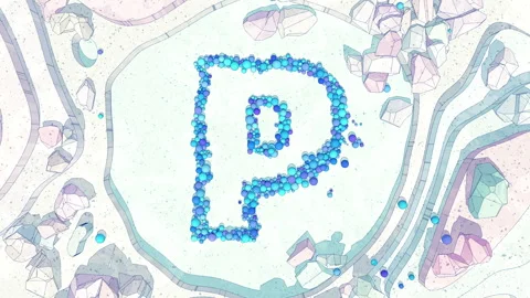 Upper to Lowercase Transform of Letter P in Cartoon Style. Stock Footage 253038643