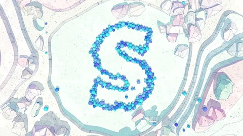 Upper to Lowercase Transform of Letter S in Cartoon Style. Stock Footage 253038016