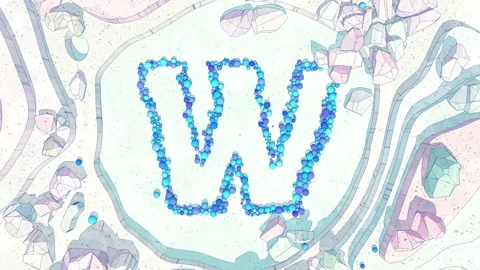 Upper to Lowercase Transform of Letter W in Cartoon Style. Stock Footage 253037445