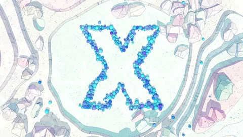 Upper to Lowercase Transform of Letter X in Cartoon Style. Stock Footage 253036926