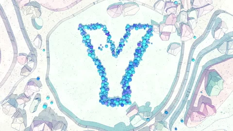 Upper to Lowercase Transform of Letter Y in Cartoon Style. Stock Footage 253036340
