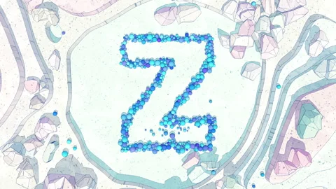 Upper to Lowercase Transform of Letter Z in Cartoon Style. Stock Footage 253035372