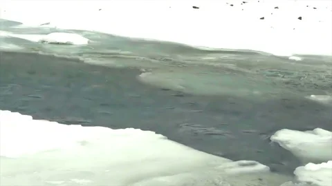 Upper Matanuska River in Winter Stock Footage 84707360