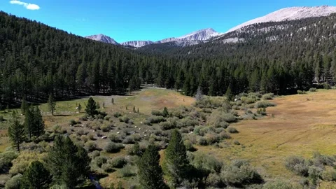 Upper Meadows Inyo County CA Stock Footage 213671583
