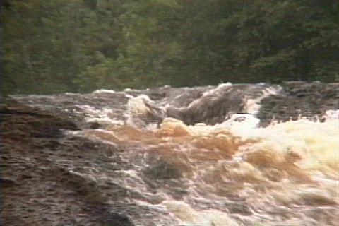 Upper Michigan's Black River Falls  動画素材 335610