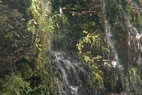 Upper Michigan's Presque Isle Stock Footage 328547