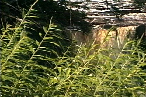 Upper Michigan's Presque Isle Part 1 of 2 Stock Footage 328677