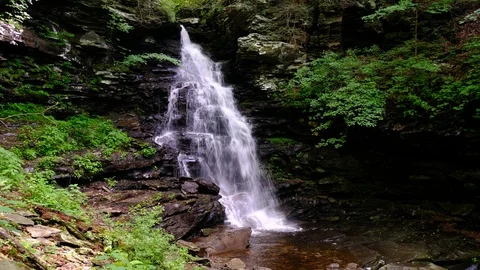 Upper Ozone Falls, Ricketts Glen State Park, Pennsylvania Stock Footage 91597791