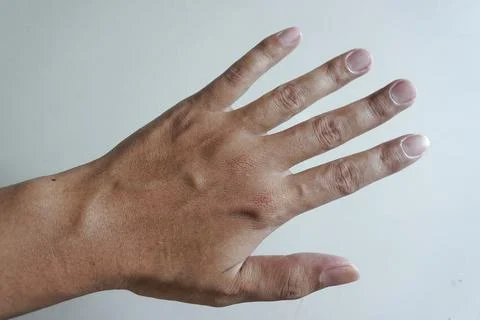 Upper palm Stock Photos