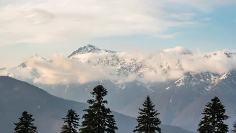 The upper part of the fir trees in front of high mountains covered with snow. Stock Footage 147477471