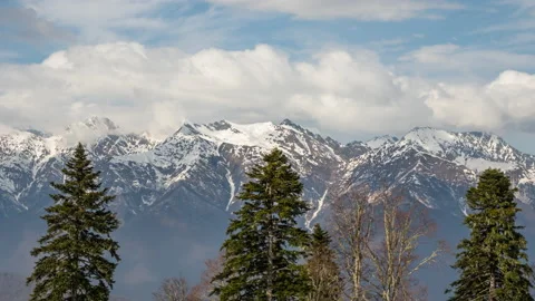 The upper part of the fir trees in front of high mountains covered with snow. 動画素材 149983708