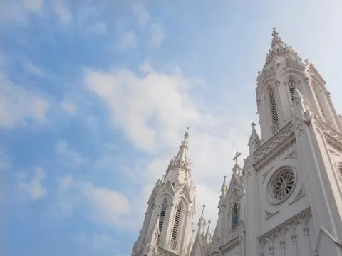 The upper part of the Lourdes Cathedral Stock Photos