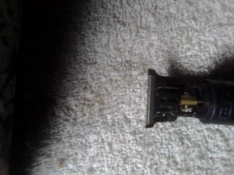 The Upper Part of a Treamer Stock Photos