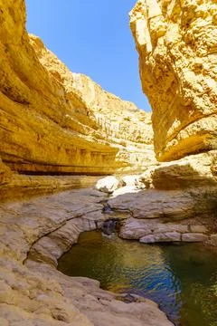 Upper pools, Arugot stream, Ein Gedi Nature Reserve Stock Photos