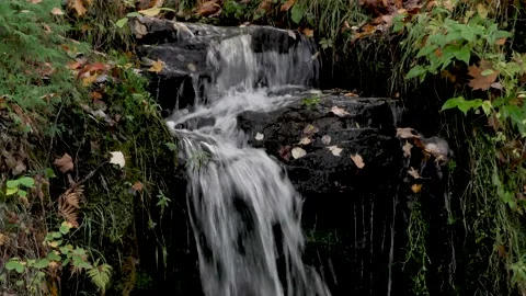 Upper portion of Scott Waterfalls, Upper Peninsula, Michigan, Autumn, USA Video stock 163983337