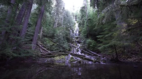 Upper Proxy Falls, Willamette National Forest, Oregon Stock Footage 43721844