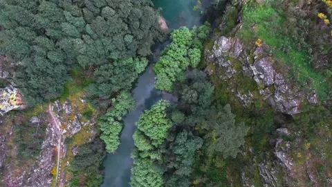 Upper river view Stock Footage 150465056