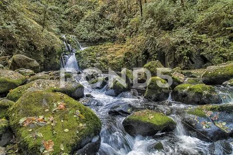 Upper section of Sweet Creek Falls near Mapleton Stock Photos