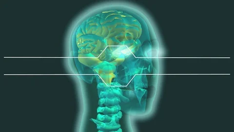 Upper section translucent human body rotating 스톡 동영상 104932948