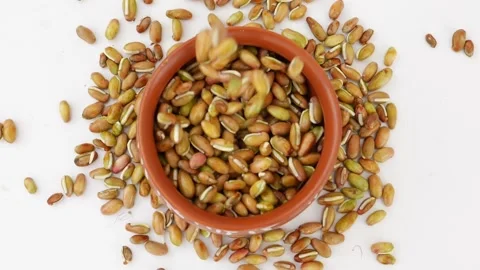 Upper shot of falling beans seeds in a mud glass Stock Footage 159638135