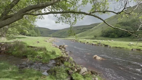 Upper Swaledale and the River Swale, Yorkshire Dales National Park, England, UK Stock Footage 342278573