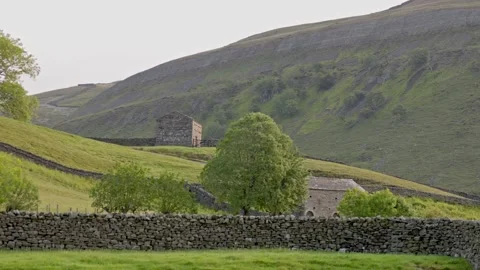 Upper Swaledale field barns, Yorkshire Dales, North Yorkshire, England, UK Video stock 311762655