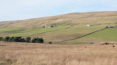 Upper Teesdale landscape, County Durham, North East England, UK Stock Footage 310615942