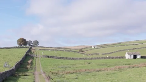 The Upper Teesdale landscape, County Durham, England, UK Video stock 319789112