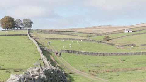 The Upper Teesdale landscape, County Durham, England, UK Stock Footage 319789213