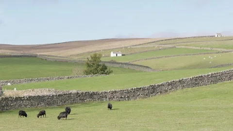 The Upper Teesdale landscape, County Durham, England, UK Stock Footage 319789229