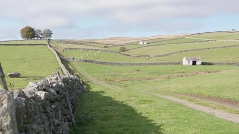 The Upper Teesdale landscape, County Durham, England, UK Stock Footage 319789286