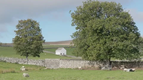 The Upper Teesdale landscape, County Durham, England, UK Video stock 319789394
