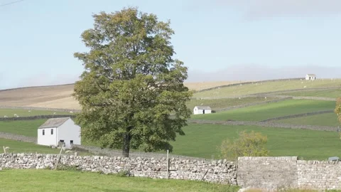 The Upper Teesdale landscape, County Durham, England, UK Video stock 319789405