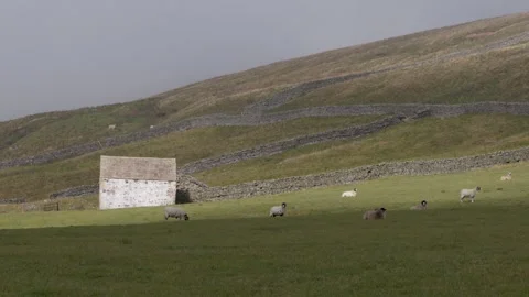The Upper Teesdale landscape, County Durham, England, UK Stock Footage 319789482