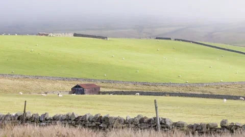 The Upper Teesdale landscape, County Durham, England, UK Video stock 319789610