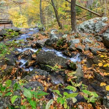 Upper vertical segment of crab tree falls. located off the blue ridge parkway Stock Photos