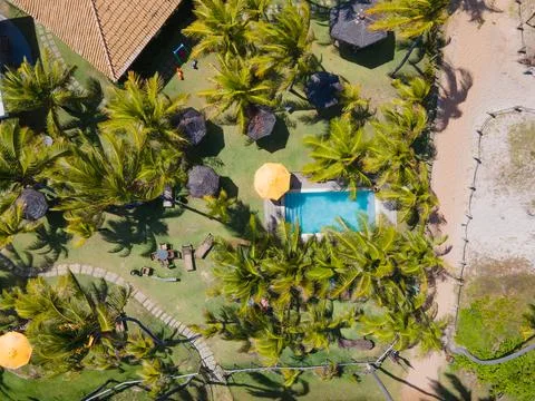 Upper view of coconut trees, a pool and sand. Foto stock