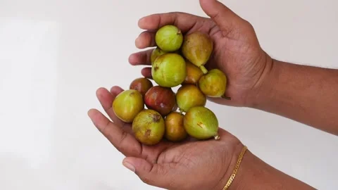 Upper view of falling green fig fruits on white background Vídeo Stock 148214692