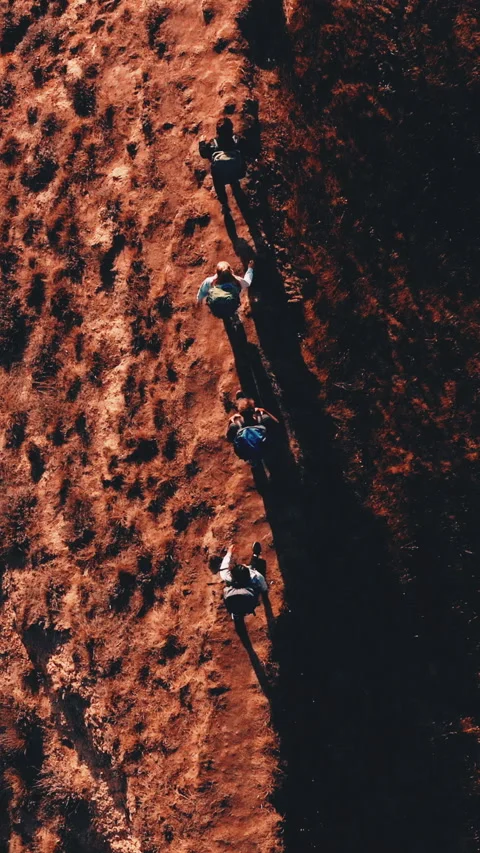 The upper view on four tourists walking through the path Video stock 242118243